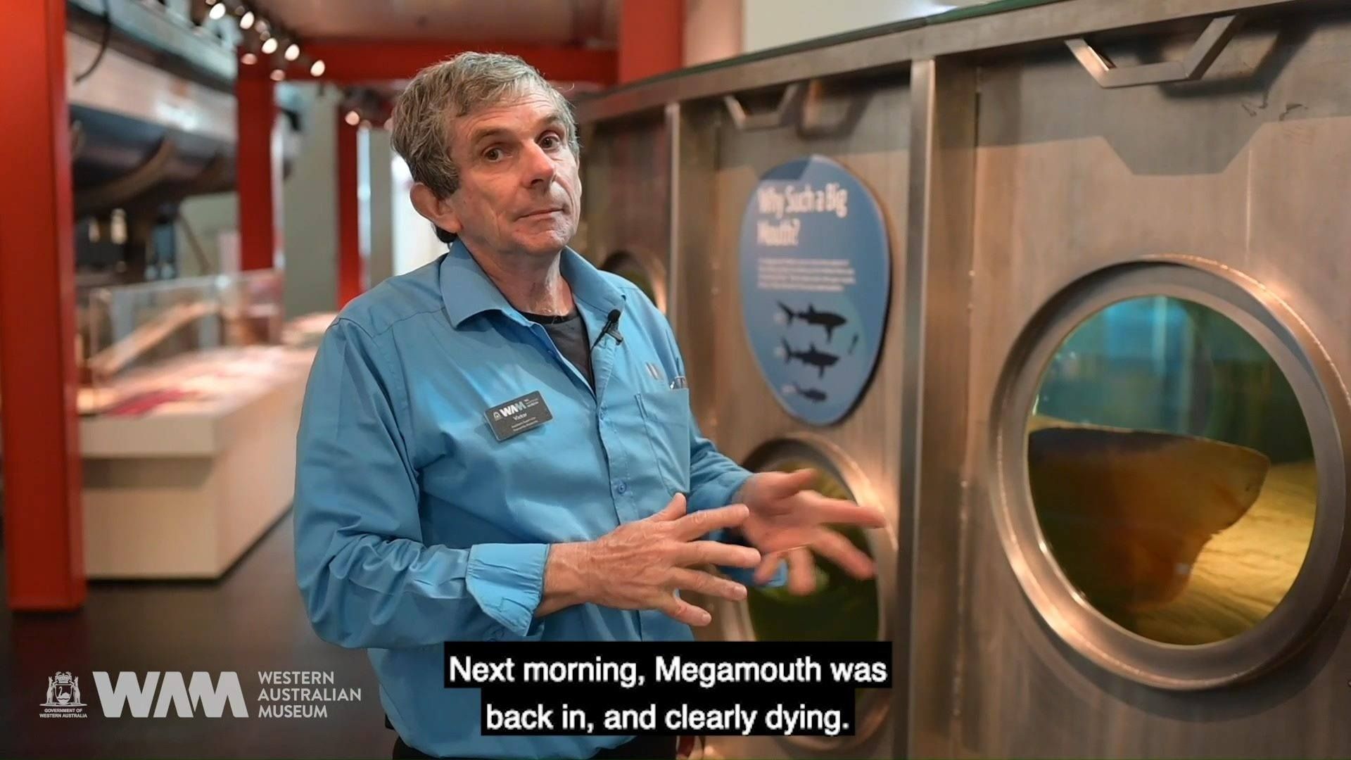 A friendly Museum staff member talks to us in front of our megamouth's tank.