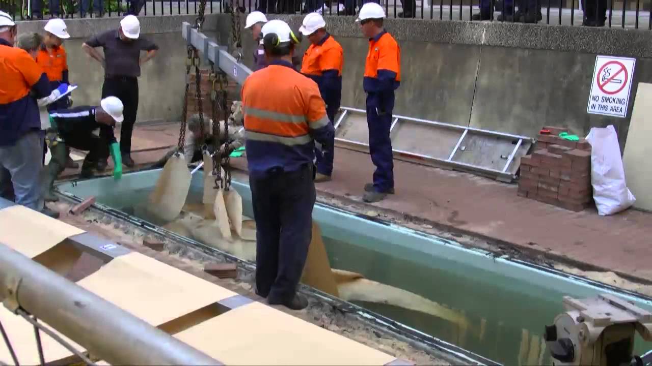 Museum staff in white hats stand around a large pool of liquid, the shark's fins are visible beneath.
