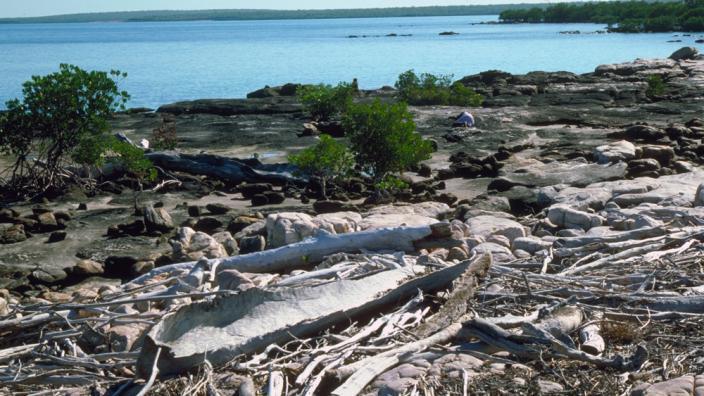 A small canoe resting on the ground in front of a rocky beach.