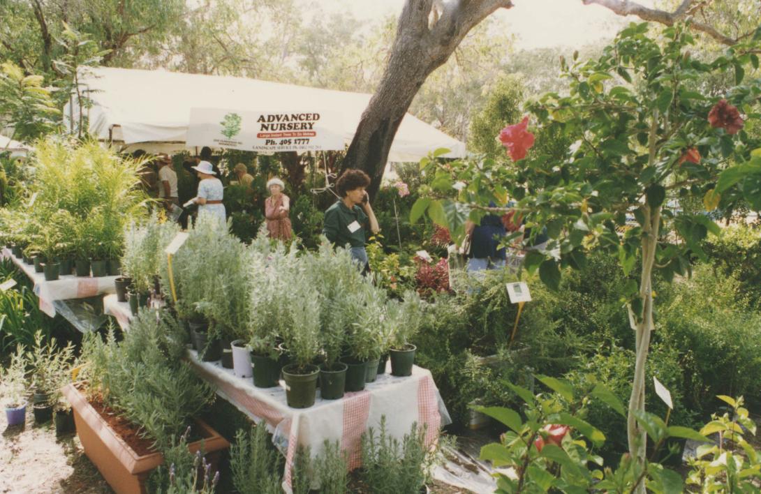 Lena is only half visible behind the rows of pot plants and other greenery.