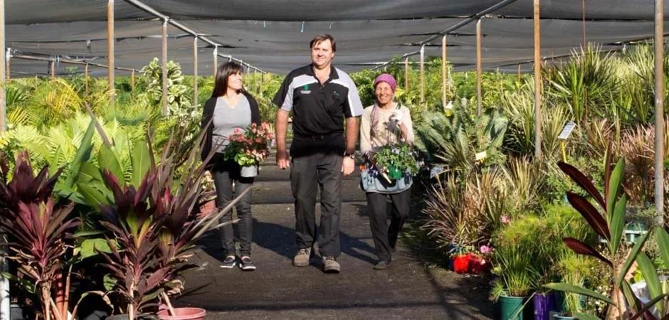 Man and two women standing in a nursery under shade cloth surrounded by large plants in pots.