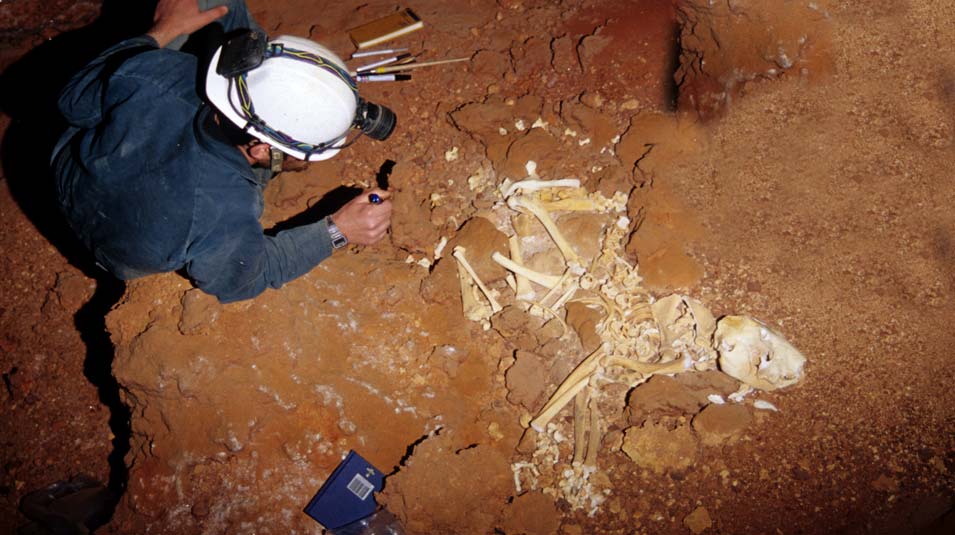 Gavin Prideaux revealing a skeleton