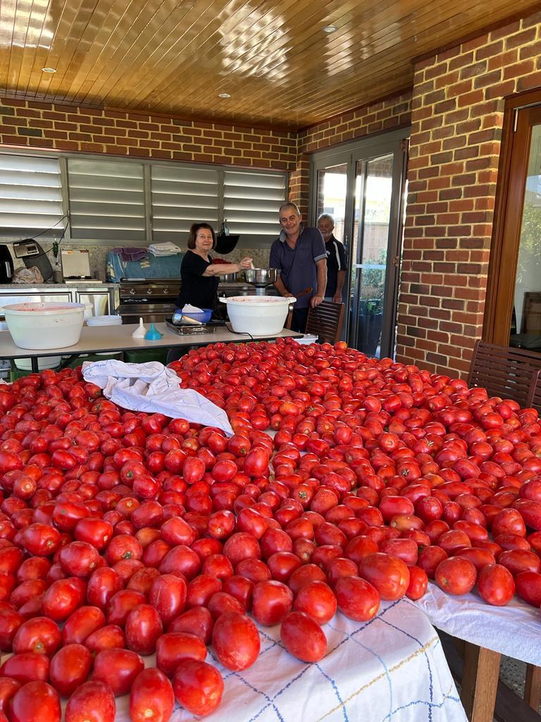 Many many many bright red tomatoes cover multiple tables.