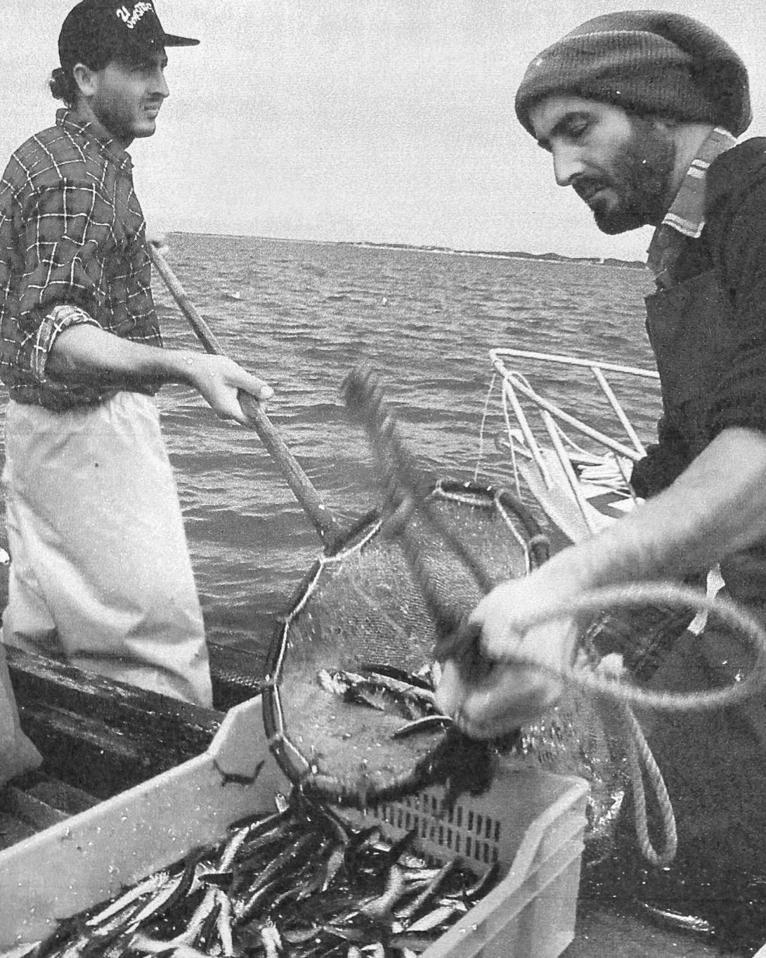 The men stand at the side of the boat loading fish from a net into a crate.