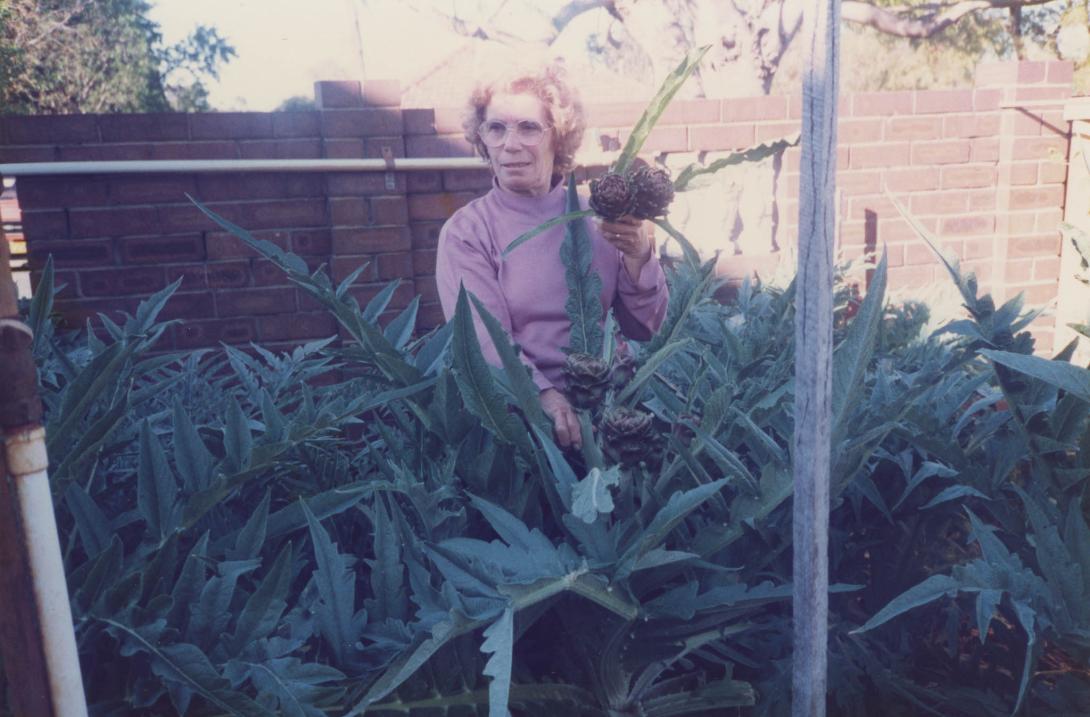 Only the top half of Carolina is visible within the big patch of plants.