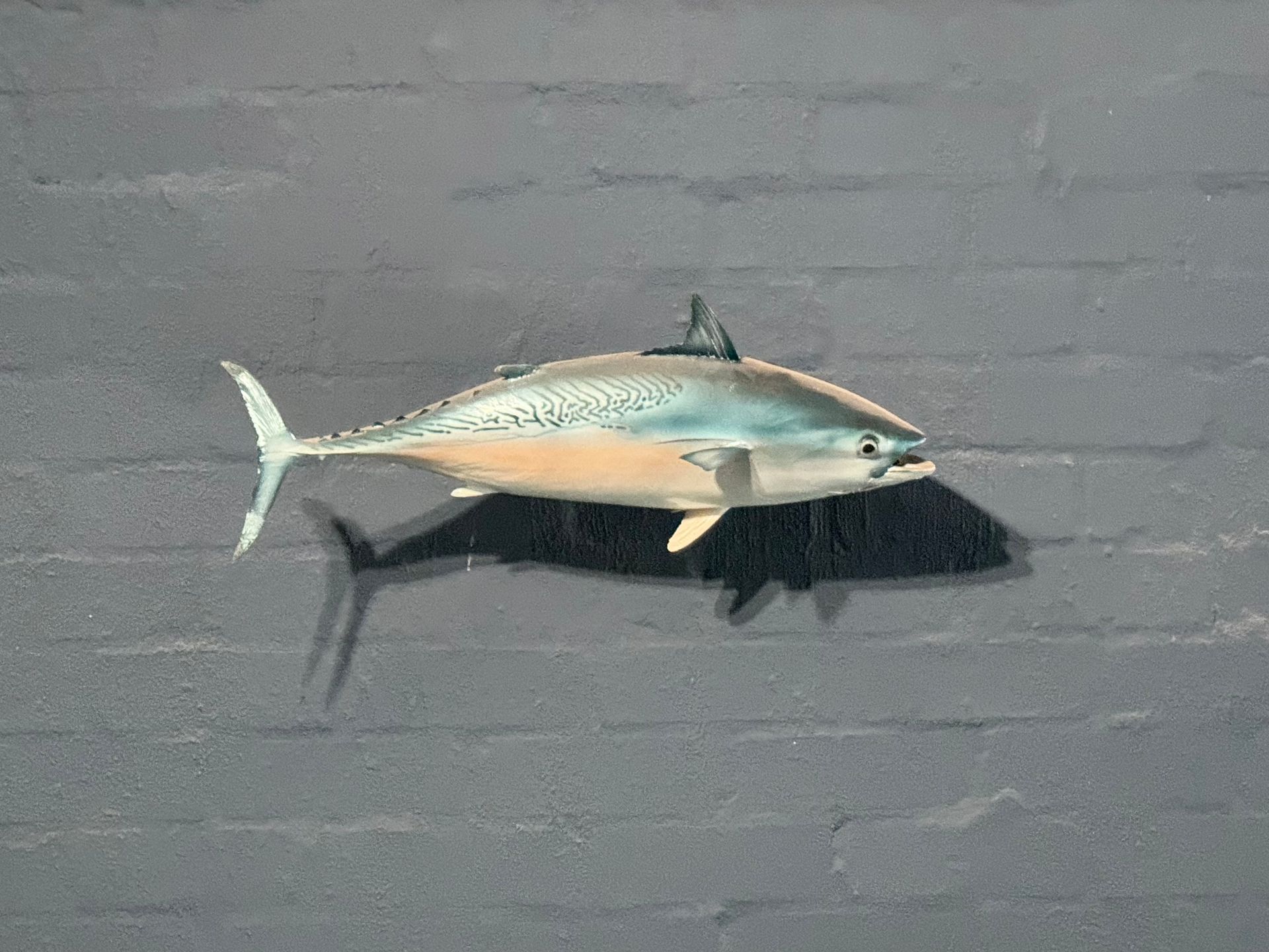 Tuna