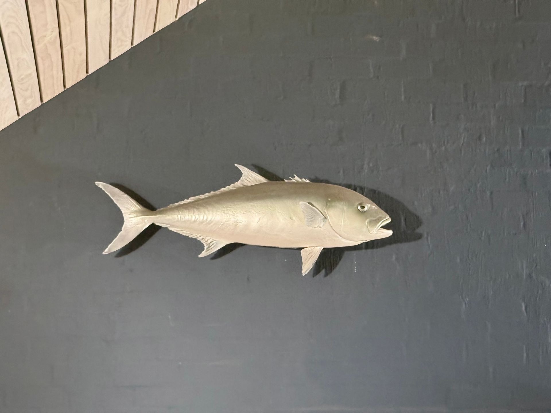 Samson Fish