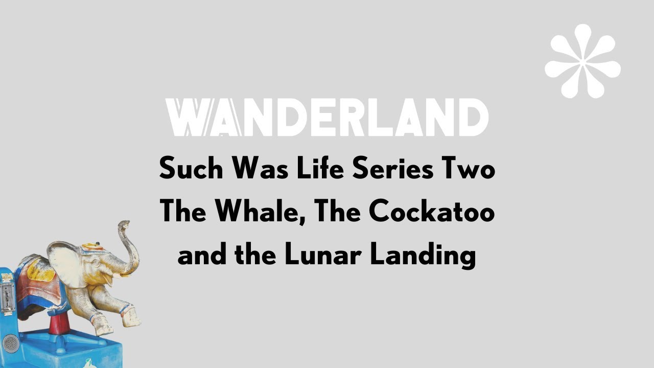 Wanderland such was life
