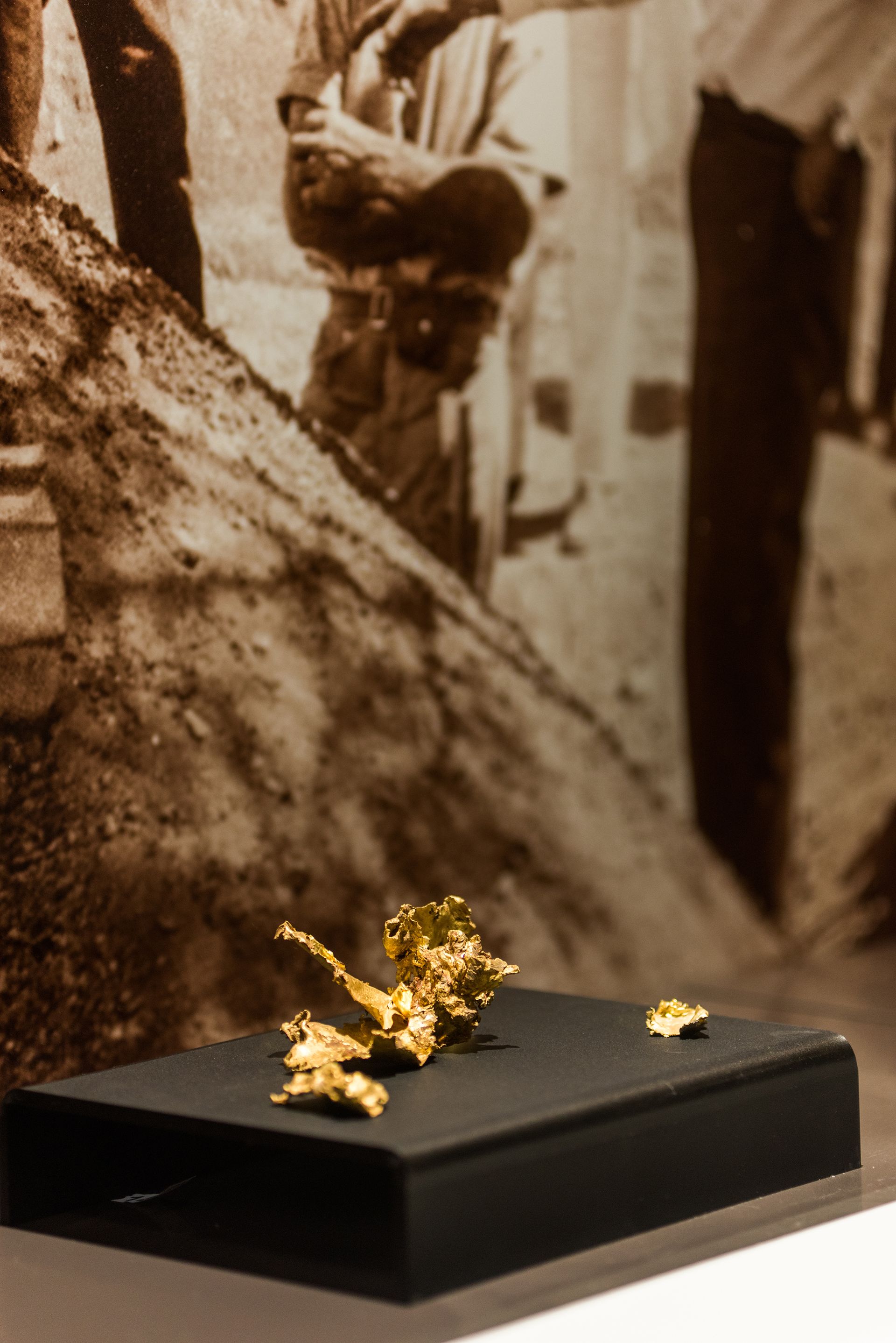 Pieces of gold arranged in a Museum showcase