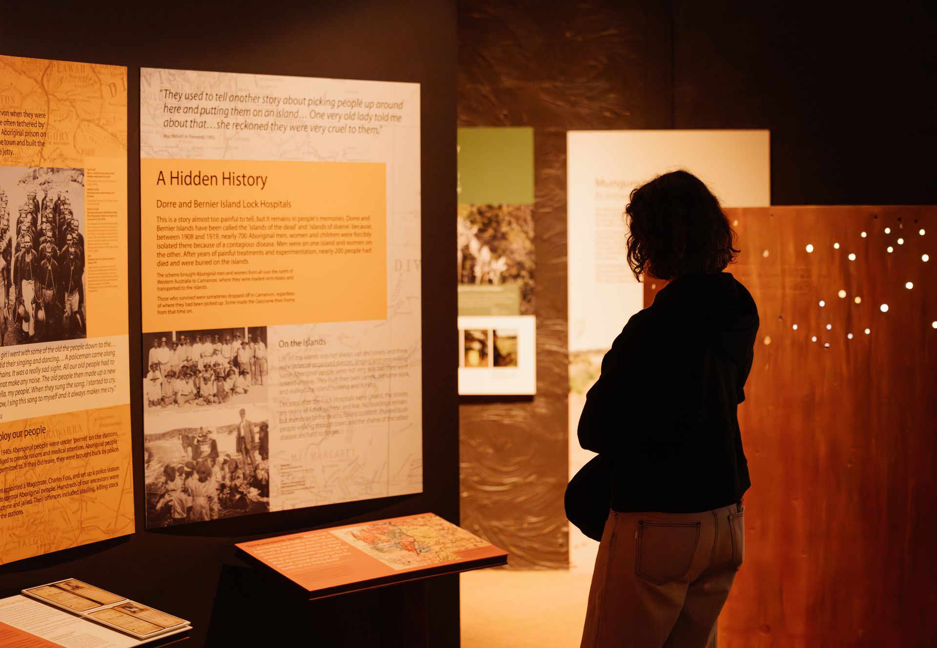 Entry fee to Collection and Exhibitions