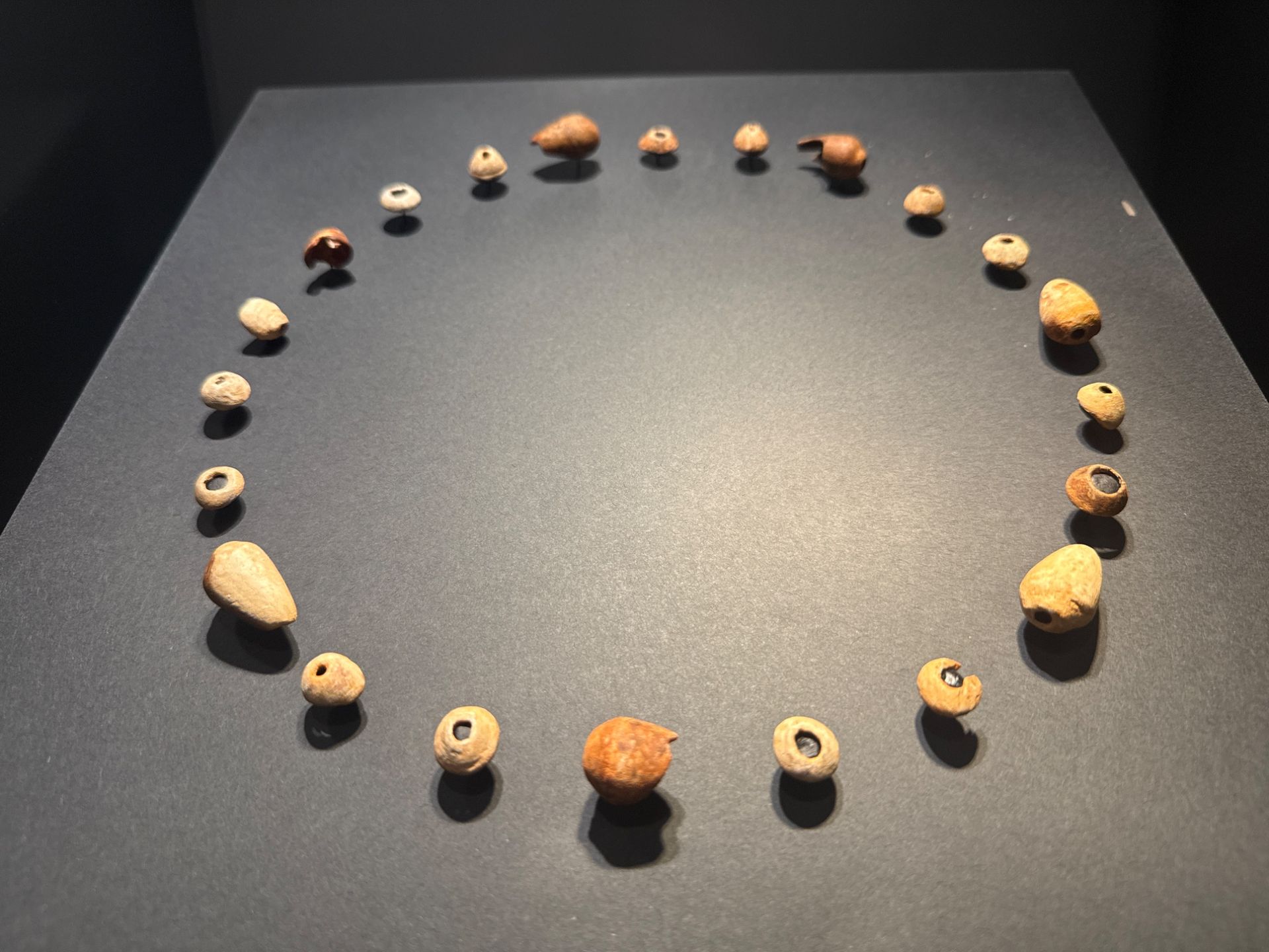 Shell necklace