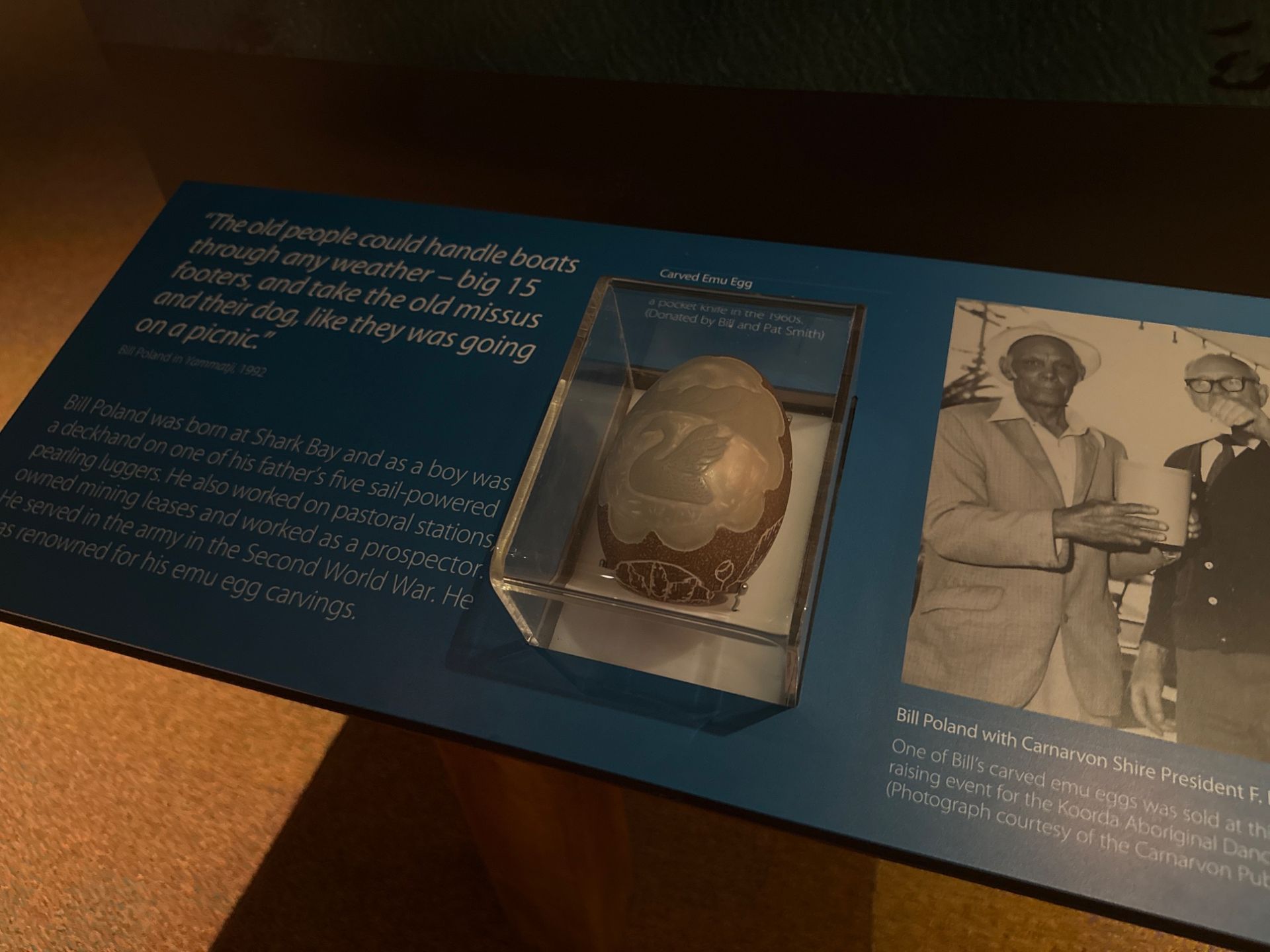 Carved emu egg
