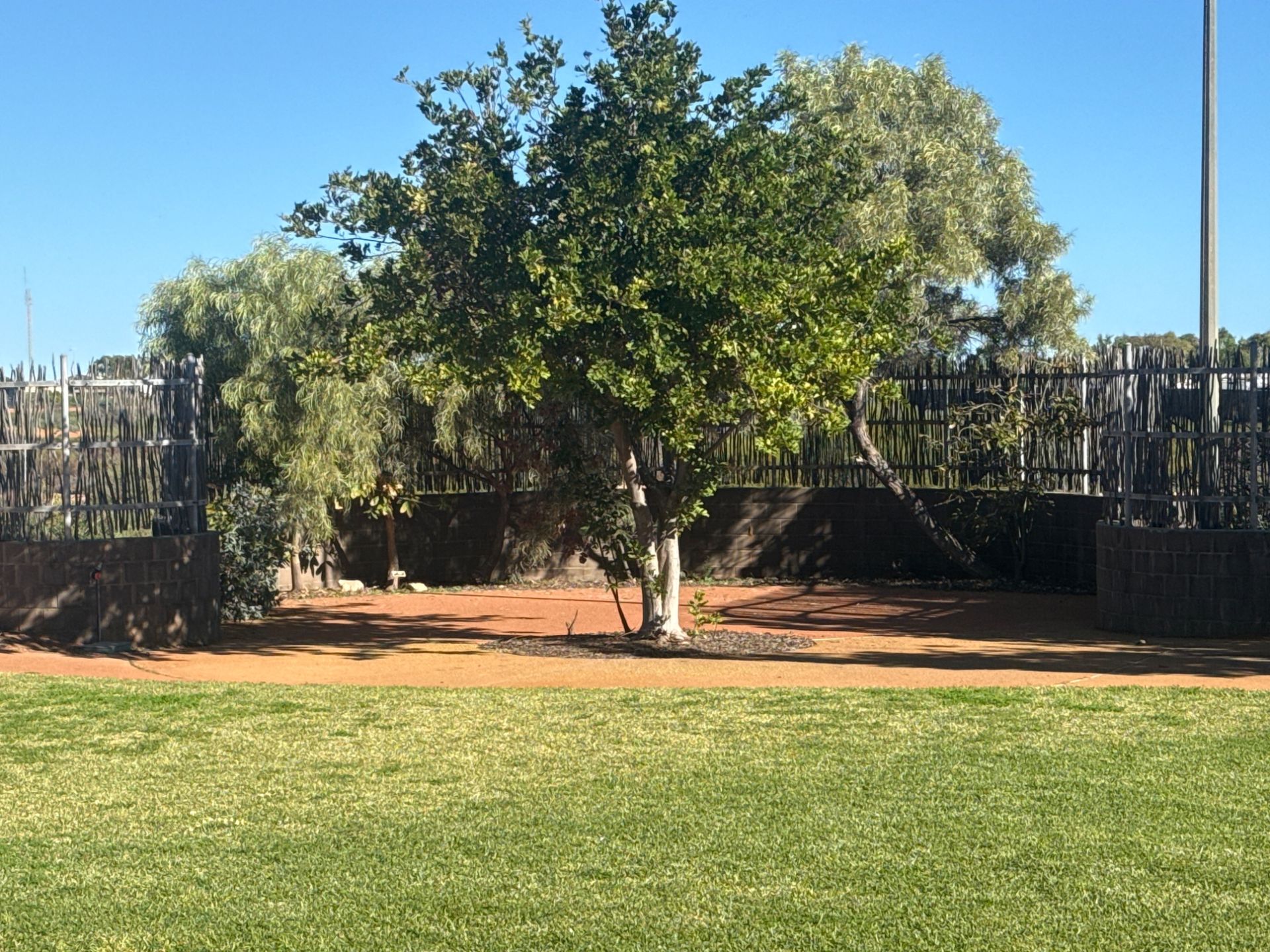 Garden beds