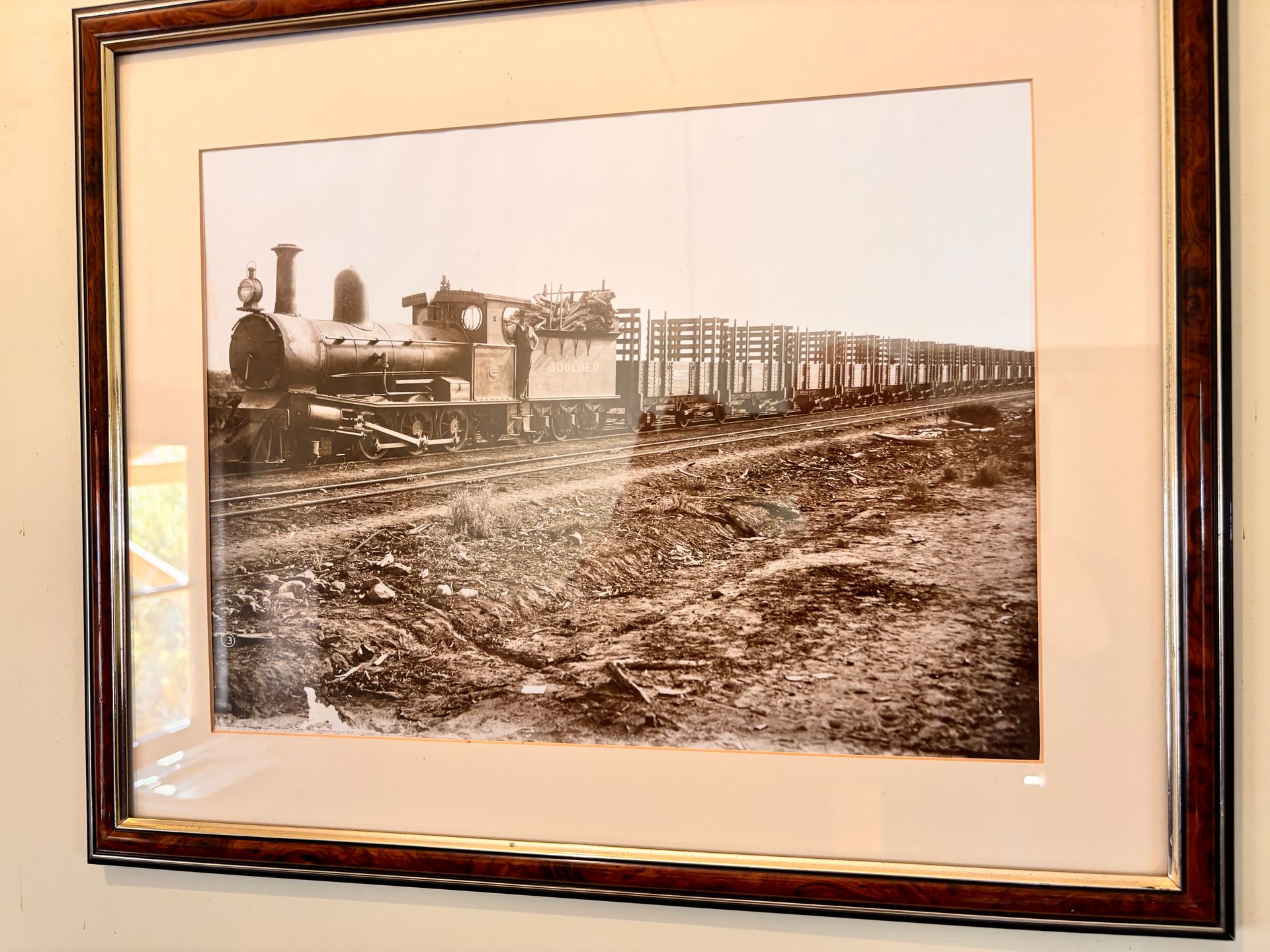 Photograph of a train moving timber