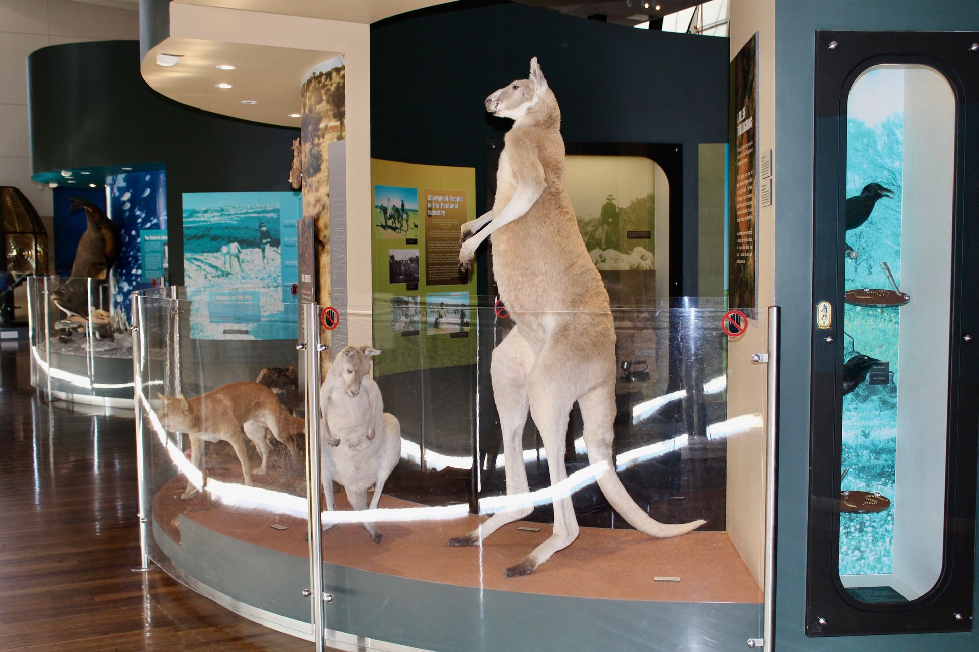 Mid West Gallery Natural