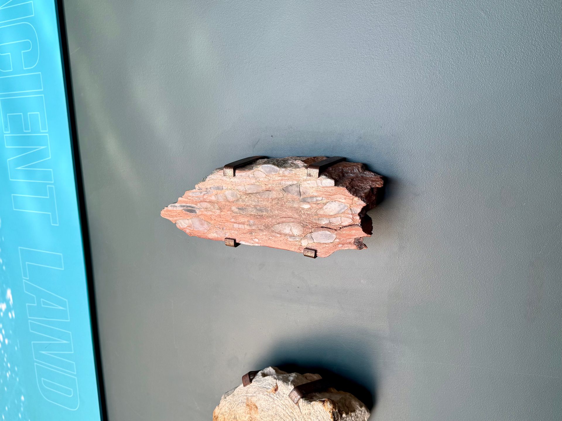 Conglomeritic Sandstone