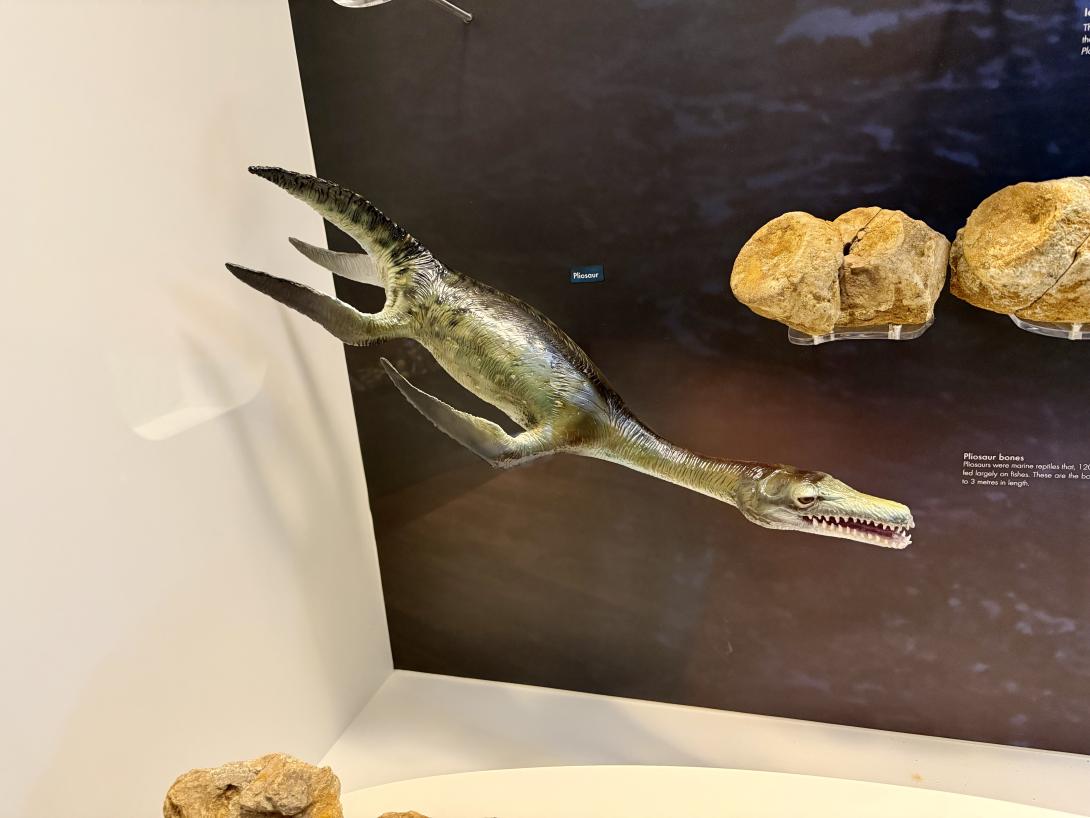 Pliosaur