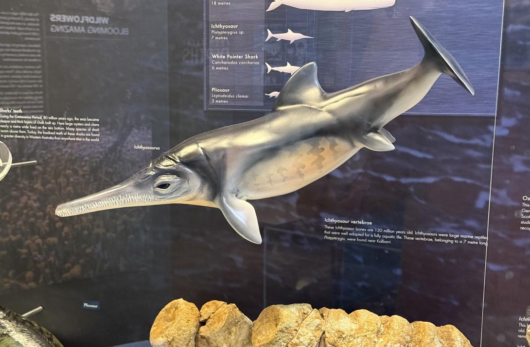 Ichthyosaur