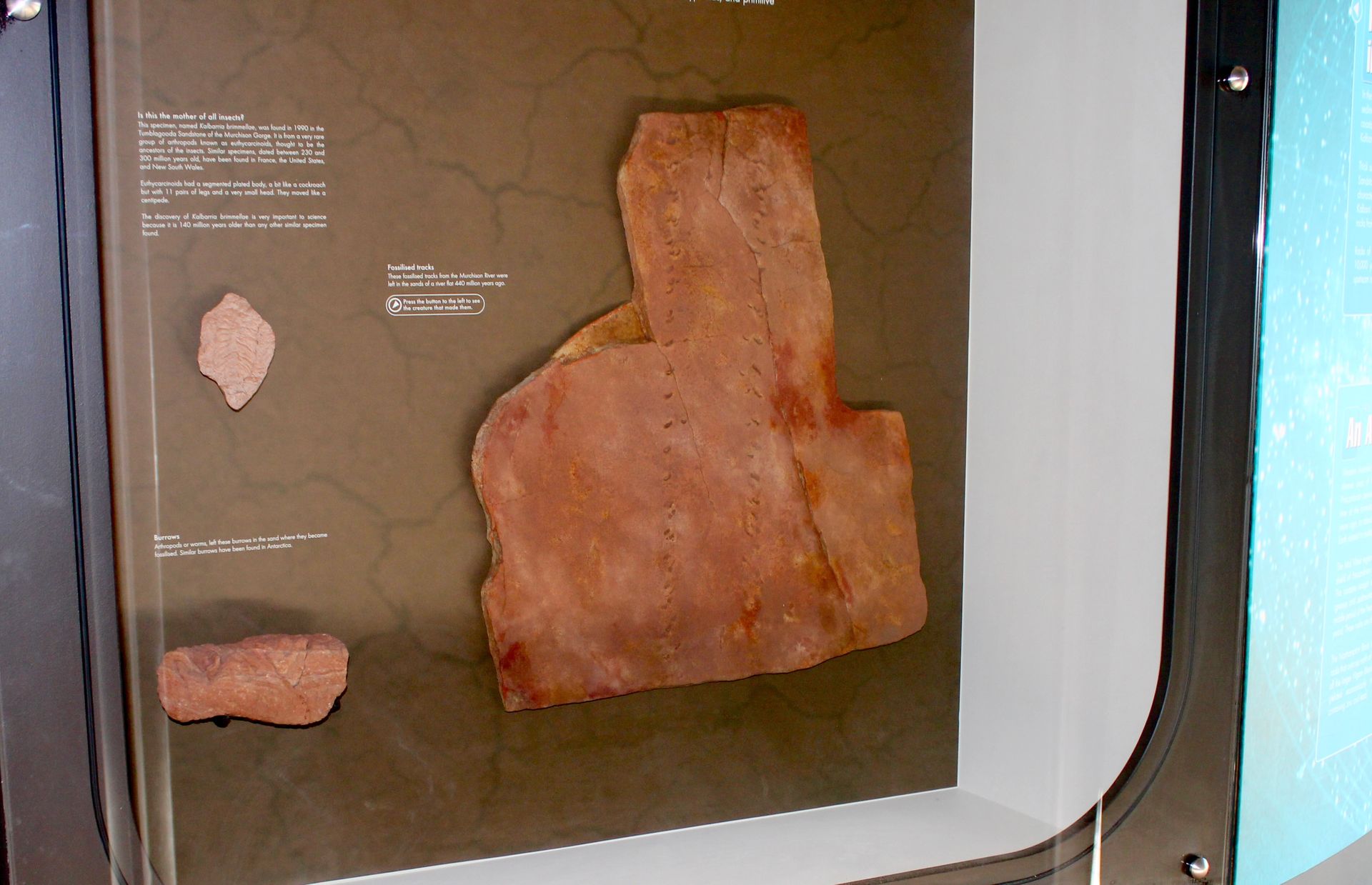 Fossilised Tracks
