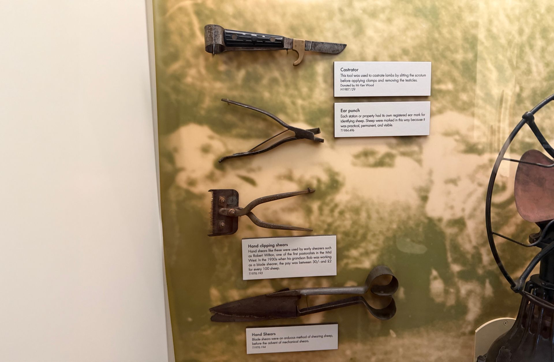 Tools of the Wool Industry
