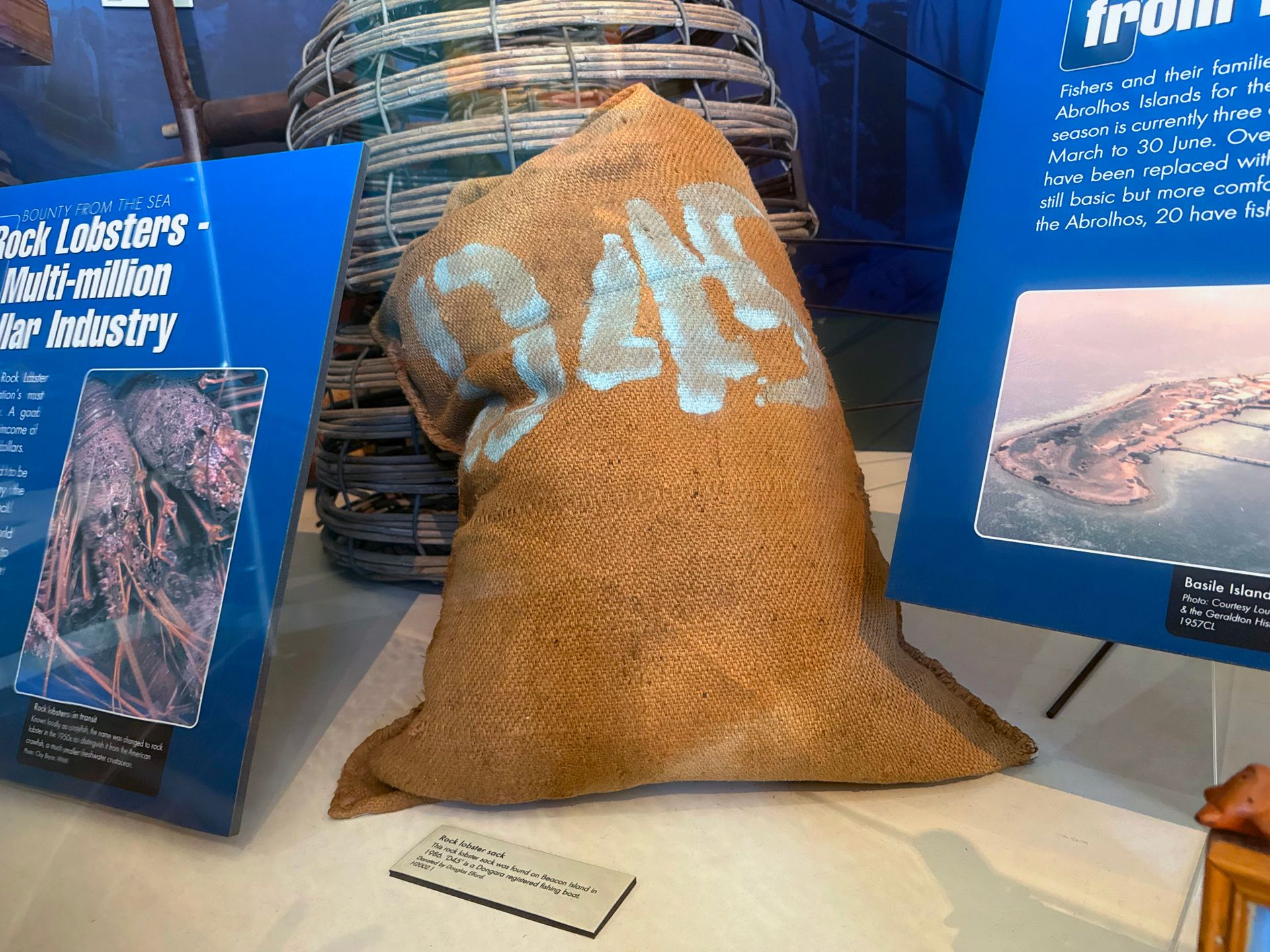 Rock Lobster Sack
