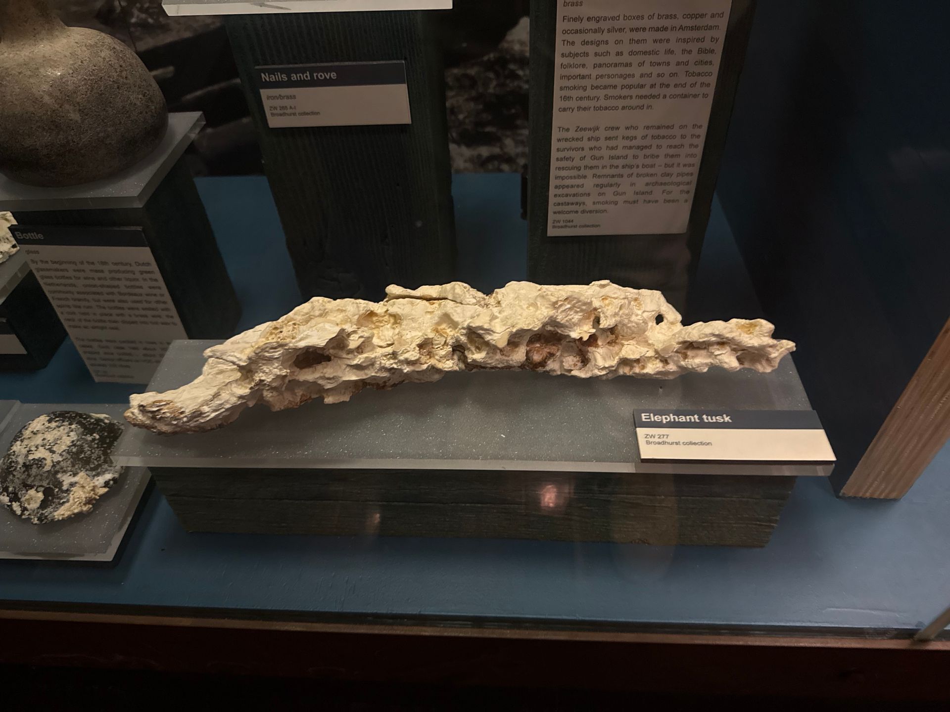 Elephant Tusk