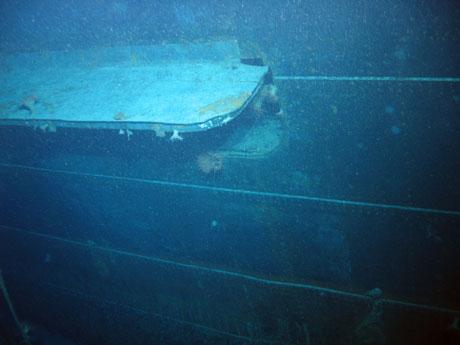 Port concealment flap for above water torpedo tubes