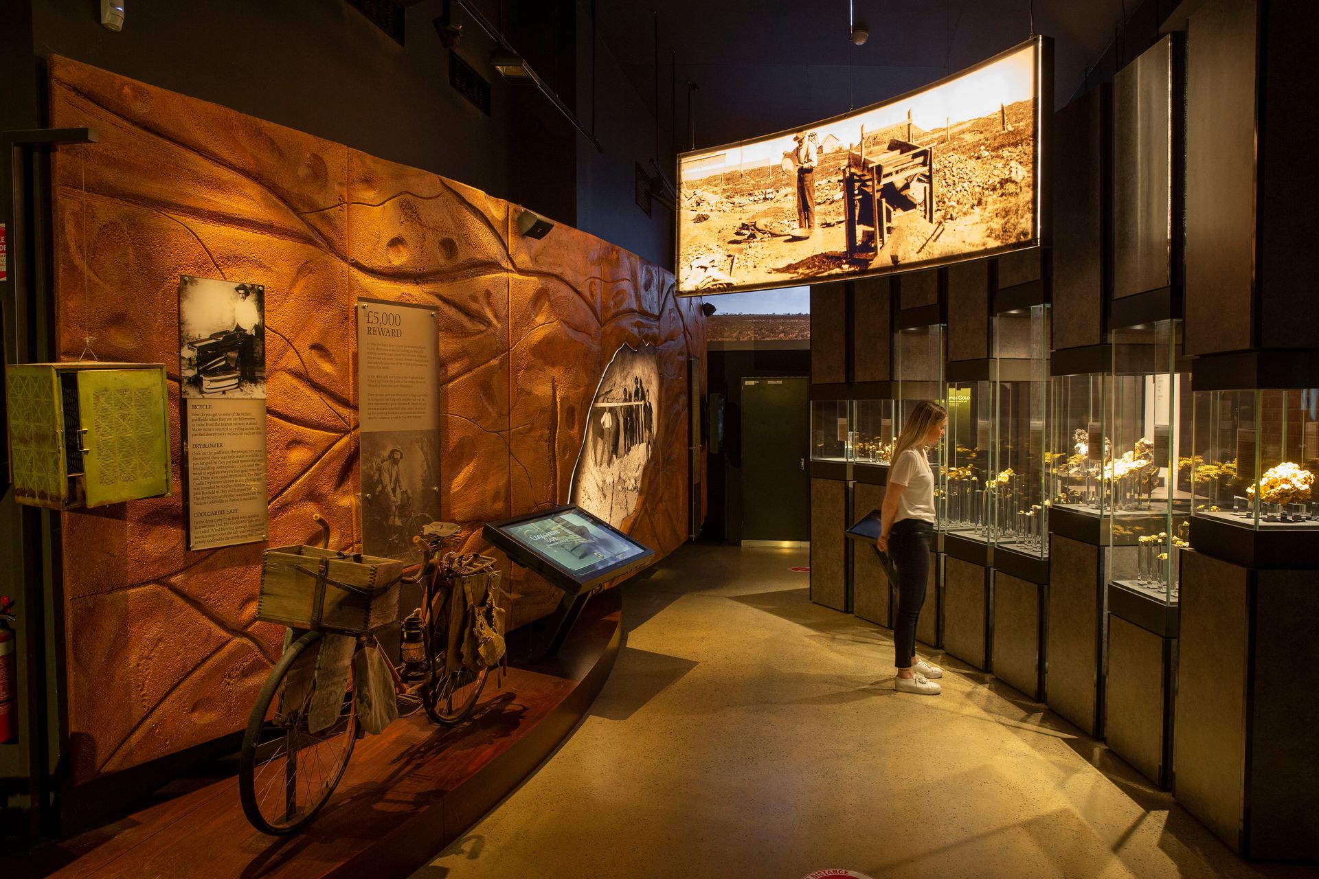 A room with a series of glass display cases on the right that contain gold nuggets. A woman is looking into one of the display cases. On the left is a prop rock wall with a gold prospector's bicycle in the foreground. Overhead is a photograph of a prospector panning for gold with a dryblower machine in the foreground.