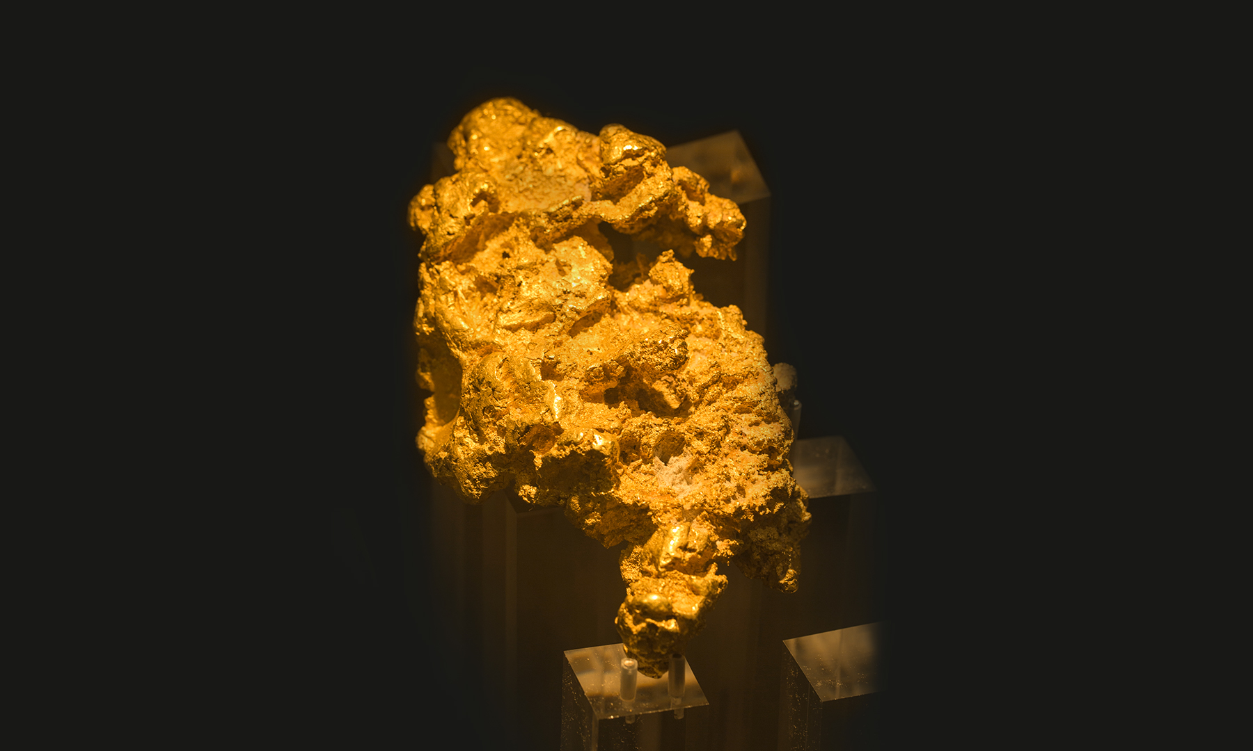 A large gold nugget, in the shape of a stonefish and called the 'Golden Stonefish', sits on an acrylic mount in a display case