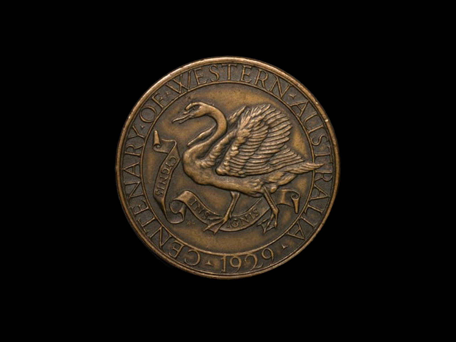 Reverse of bronze medal 'Centenary of Western Australia 1929' with central design of swan with wings outstretched and scroll 'Cygnis Insignis'