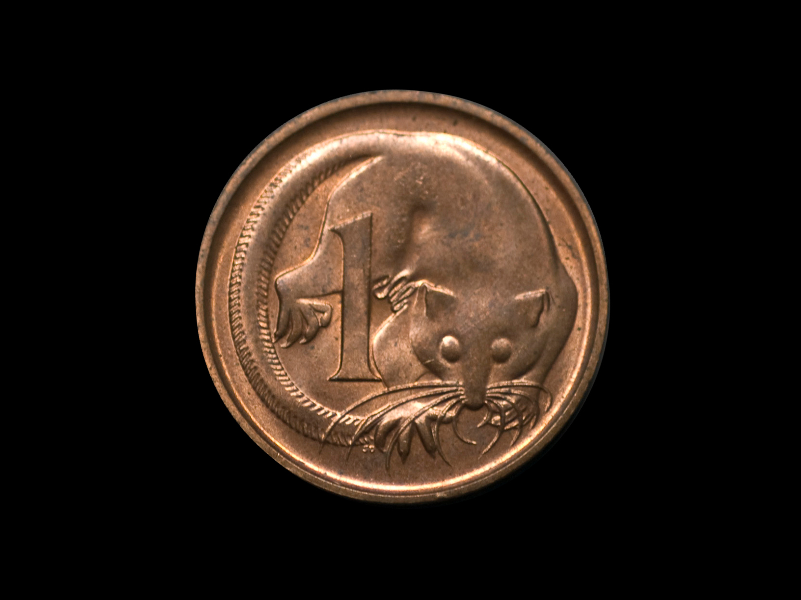 Small bronze Australian one cent coin with the number '1' and design depicting a feathertail glider possum