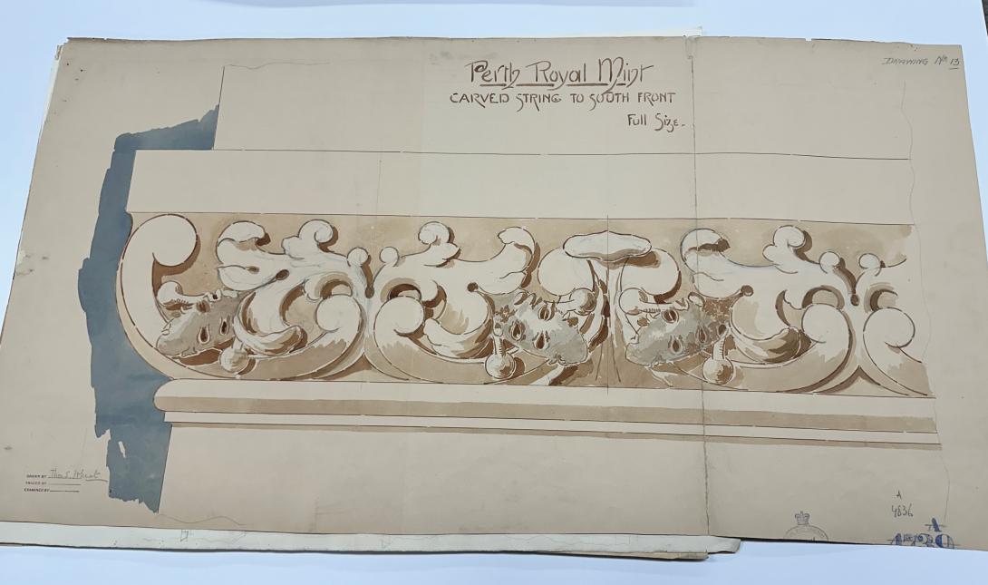 Coloured design sketch for carved string to limestone depicting banksia nuts and leaf design