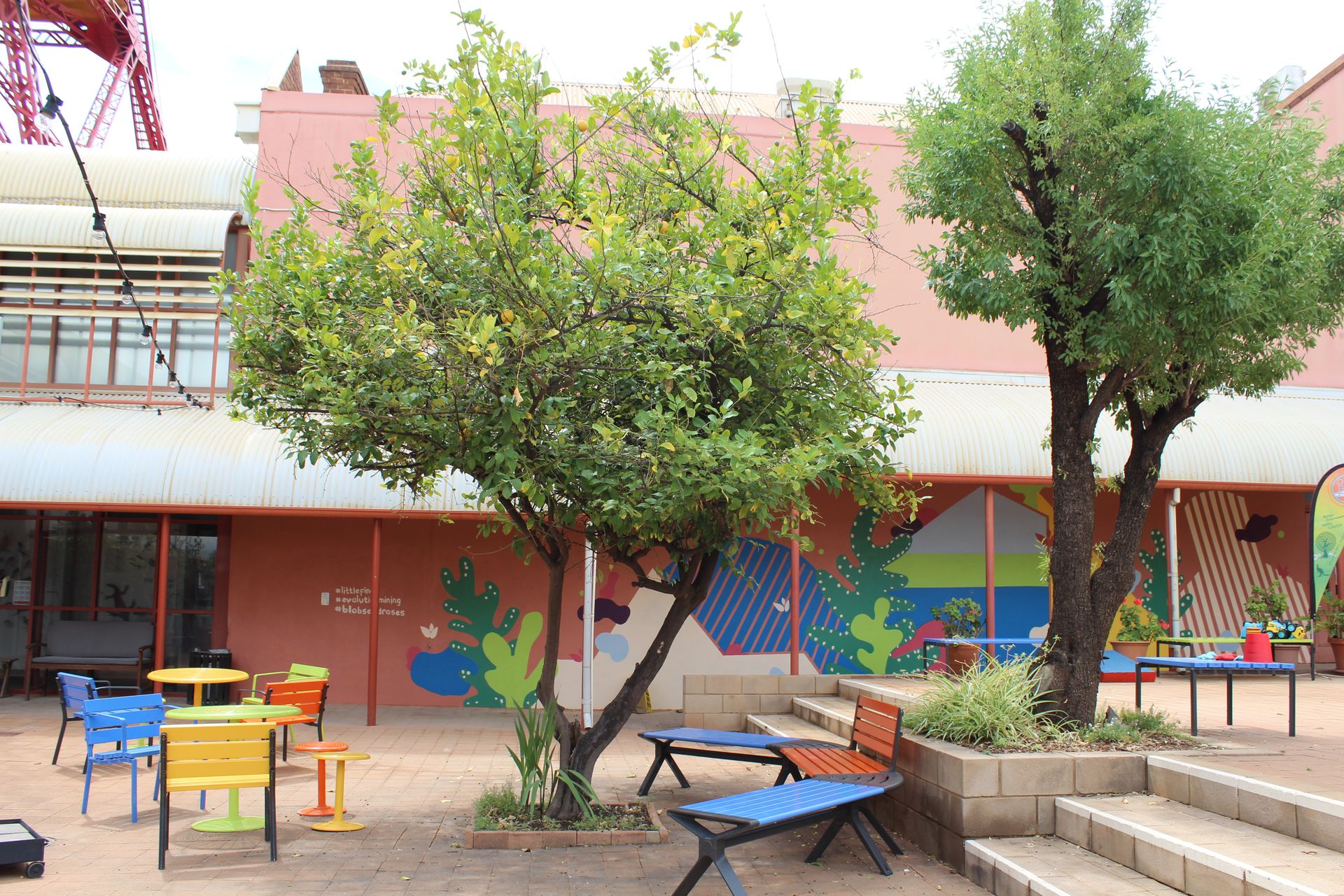 Lemon Tree
