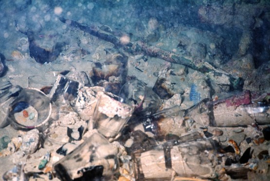 Wreck of Eglinton
