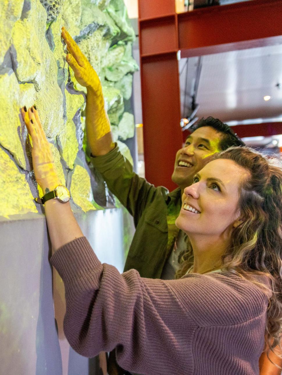 People touching an interactive coral wall