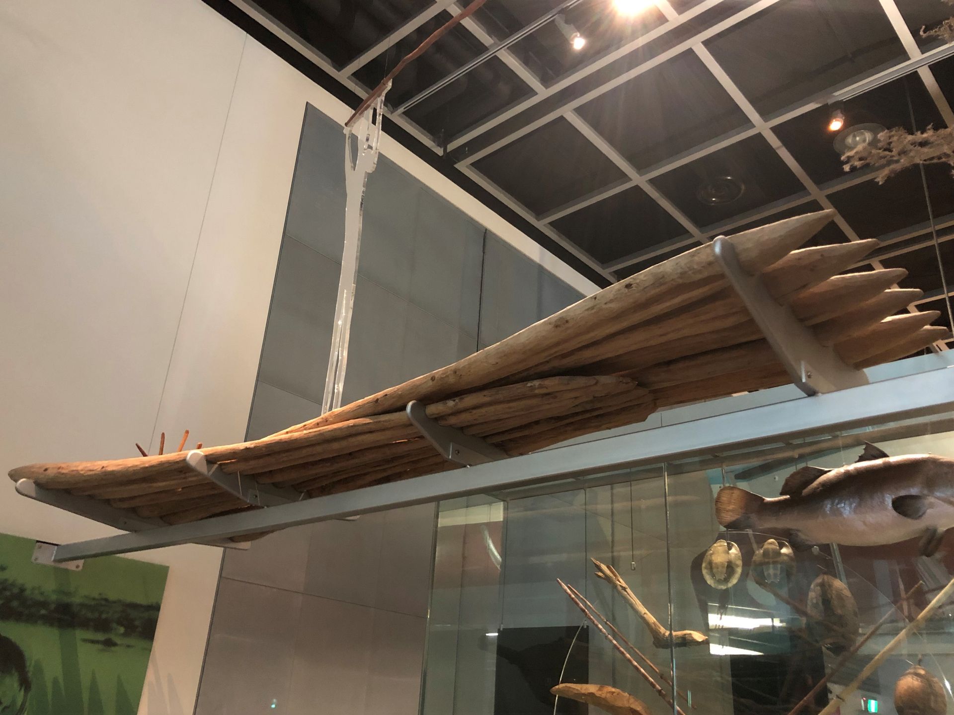 A raft made of thick sharpened wooden poles, suspended above the glass display case.