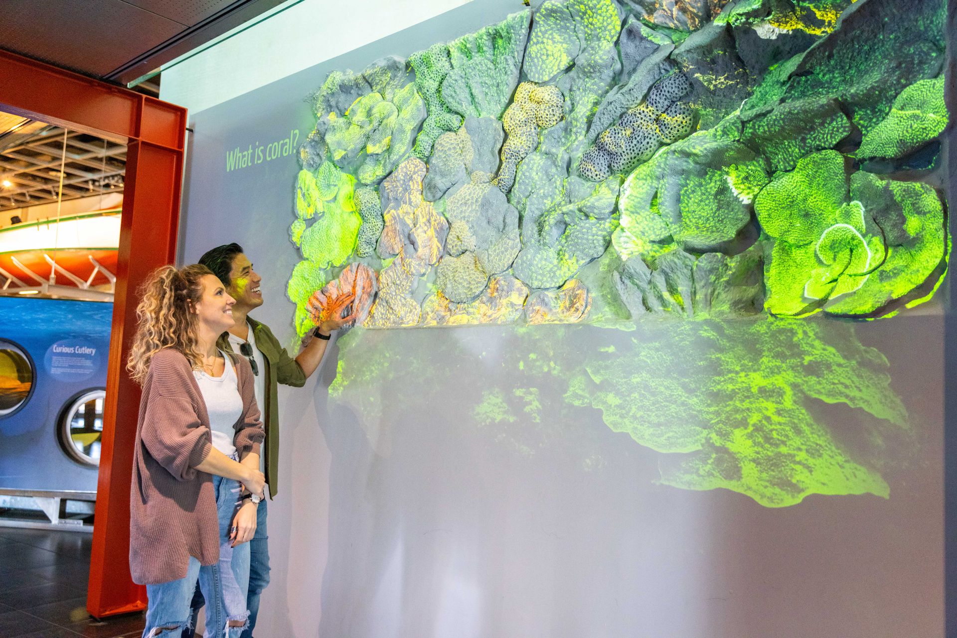 In the corridor leading to the Down Under gallery is a white wall with a sculpture of coral on it. Colours are projected onto it.
