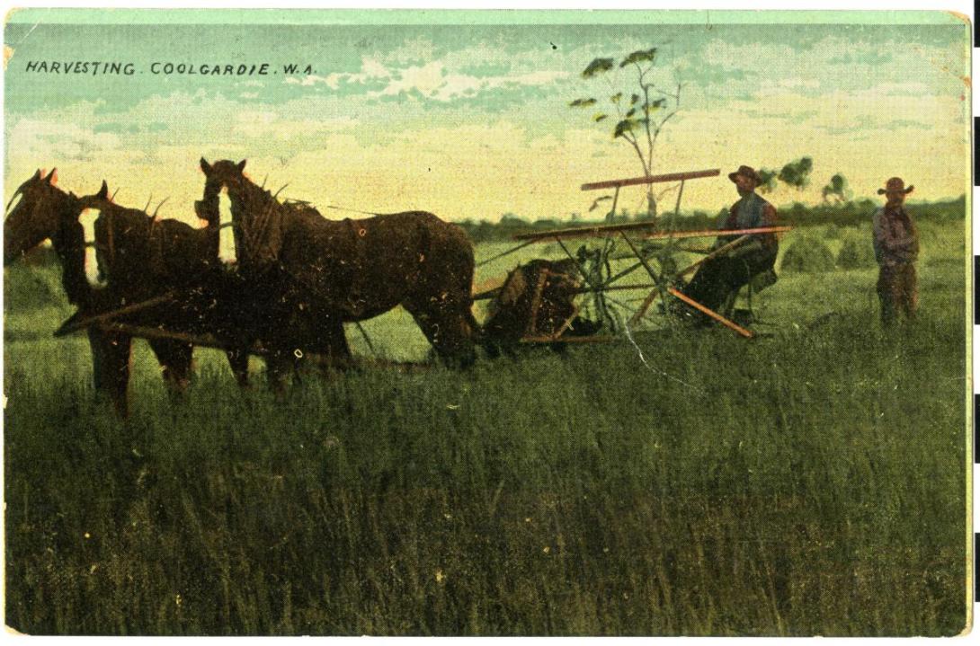 A colourful drawing of two horses dragging farm machinery over a field.